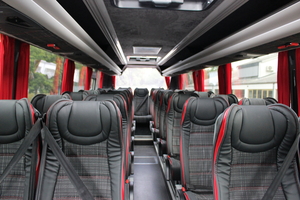 (VIP leather seats with extra legroom and armrests interior view [de])