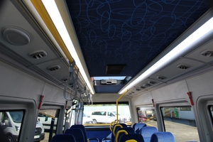 (Interior layout of seats with standing and wheelchair space minibus mercedes rear low entry omnicar [ro])