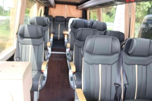 (Sprinter chassis LD VIP First classe extra large omnicar (59).JPG [de])