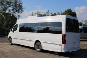 (Mercedes Sprinter rear-lowered minibus with double rear doors and ramp  [ro])