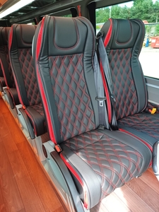 Executive minibus Mercedes parked near Paris France omnicar VIP Sprinter 